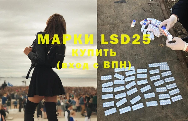 винт Балахна