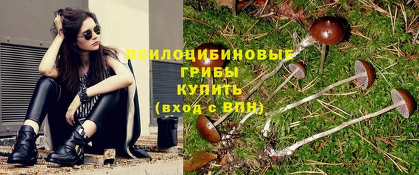 бутират Балабаново