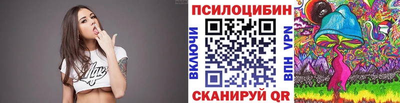 Галлюциногенные грибы Cubensis Верея